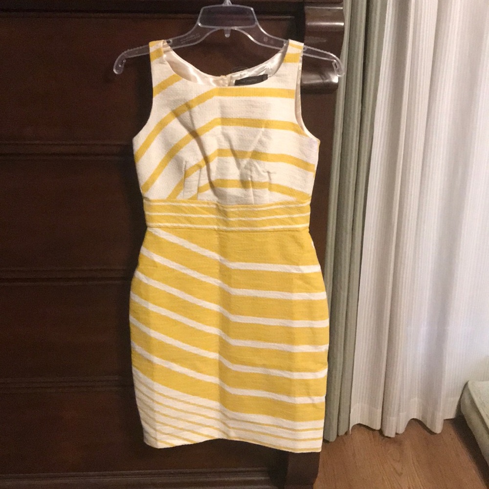 The limited dress